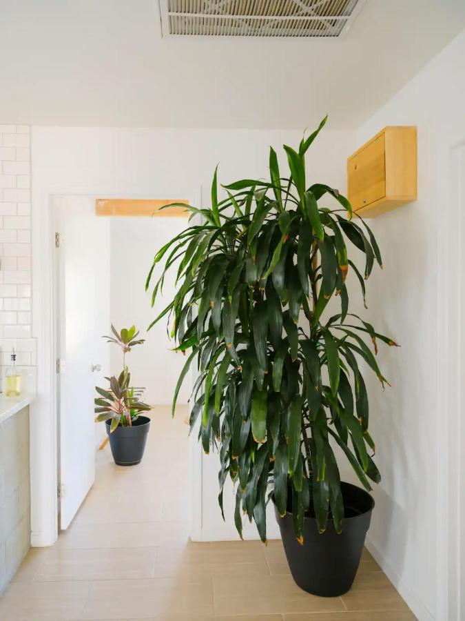 The Zen - Outdoor Shower, Gas Fireplace, Walkable To Shops & Restaurants Джошуа Три Екстериор снимка